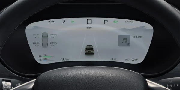 M6-dm (3)